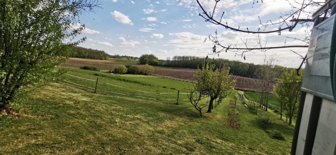 Rabbit House - Le Gite Singleyrac Bagian luar foto